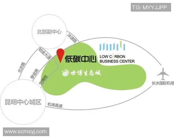 上海滑板队状态对比深度解析与未来发展趋势探讨 上海滑板队状态对比深度解析与未来发展趋势探讨